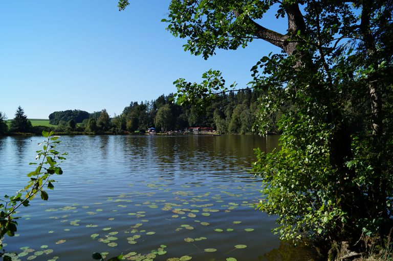 Seebad_Seerosen